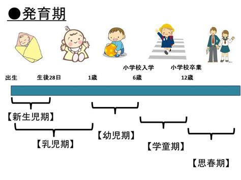 小人定義|大人、小人、幼児 の区分の違いは何ですか？